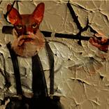 Collection ZOO con arte.