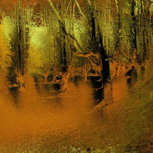 Collection BOSQUES con alma.