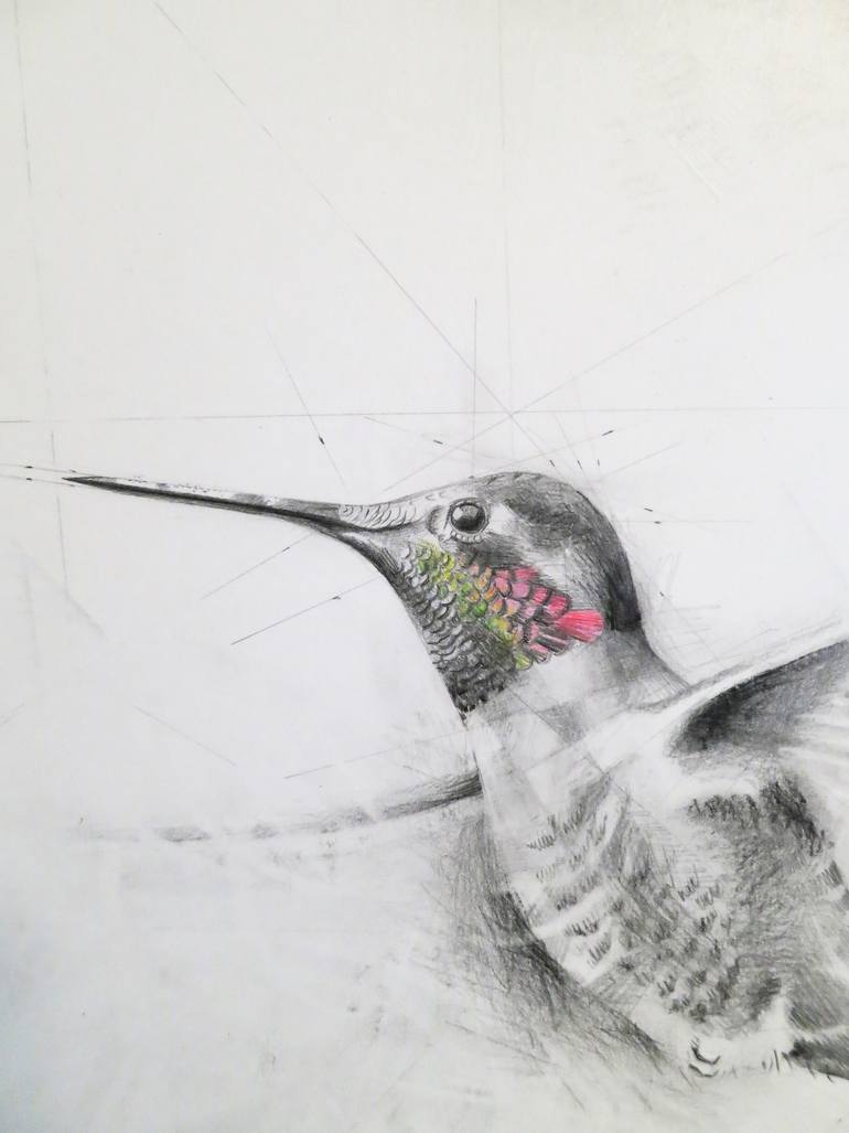 Original Conceptual Nature Drawing by Linda Klein