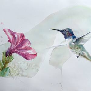 Collection Learning to Fly Series