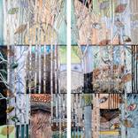 Collection Dissecting Gravity Series