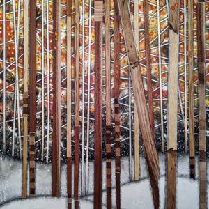 Collection Splintered Wisdom Series