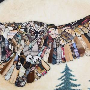 Collection Indigenous Transparency 