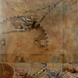 Collection Learning to Fly Series