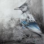 Collection Portraits & Drawings