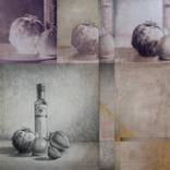 Collection Organic Blueprints