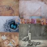 Collection Organic Blueprints