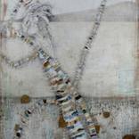 Collection Indigenous Transparency 