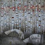 Collection Indigenous Transparency 