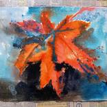 Collection Leaf Studies