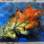 Collection Leaf Studies