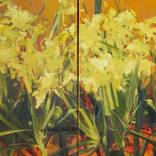Irises by Ewa Perz