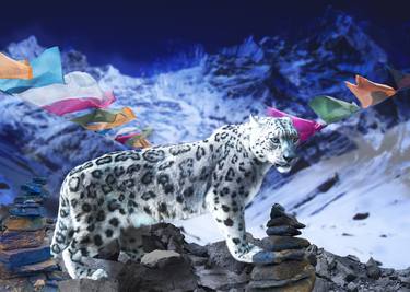 Snow leopard 7,500 thumb