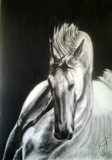 Original Fine Art Horse Drawings by Jovan Cavor