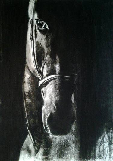 Original Fine Art Horse Drawings by Jovan Cavor