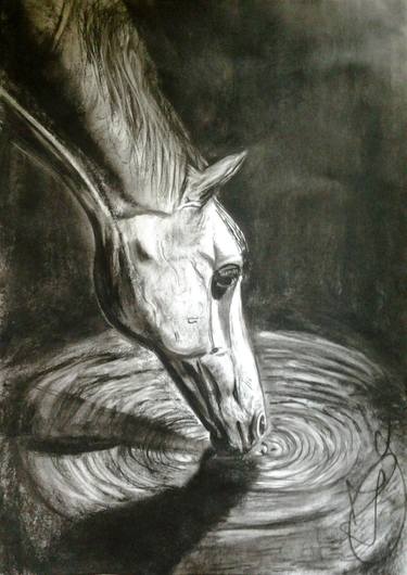 Print of Animal Drawings by Jovan Cavor