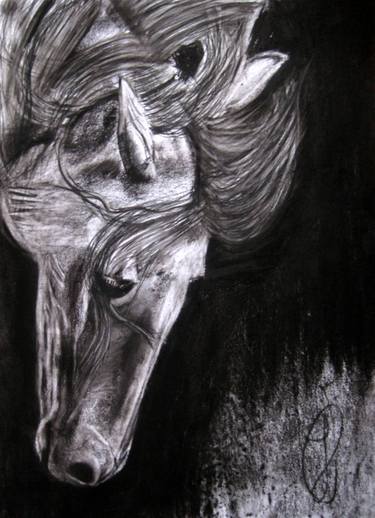 Original Realism Horse Drawings by Jovan Cavor