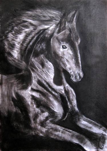 Print of Realism Horse Drawings by Jovan Cavor