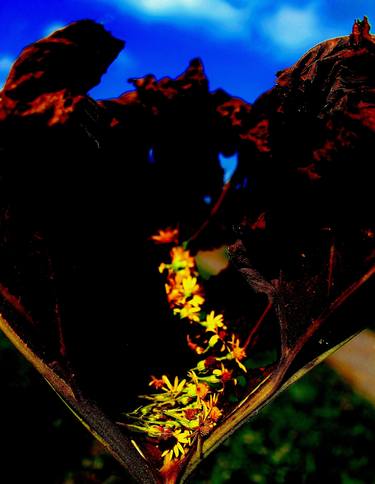 Yellow River on Leaf Mountain thumb