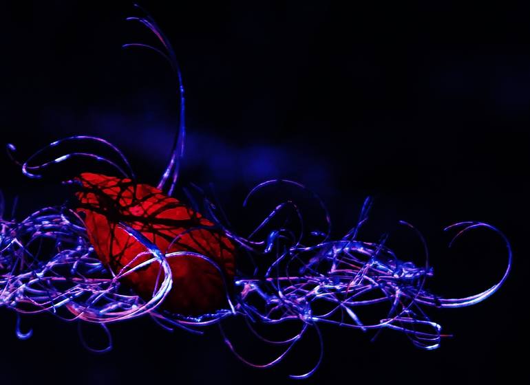 Original Abstract Expressionism Fantasy Photography by Paul Picton