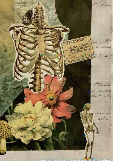 Print of Conceptual Science Collage by Kendra Hitchcock