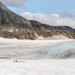 Collection Landscapes
