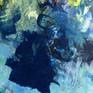 detail 2