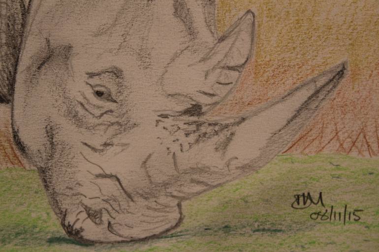 Original Realism Animal Drawing by David Muncer