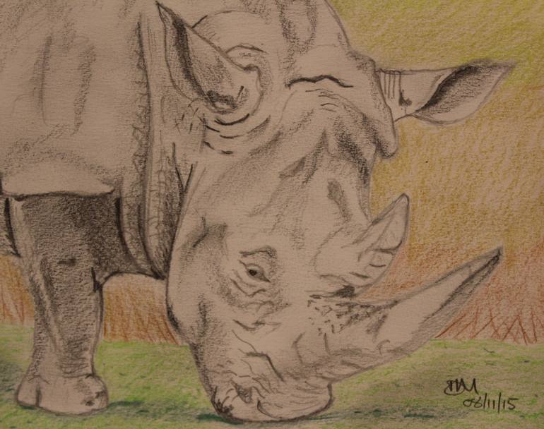 Original Realism Animal Drawing by David Muncer