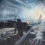 Collection Landscapes