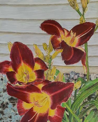 Original Realism Floral Drawings by Charles Wesley