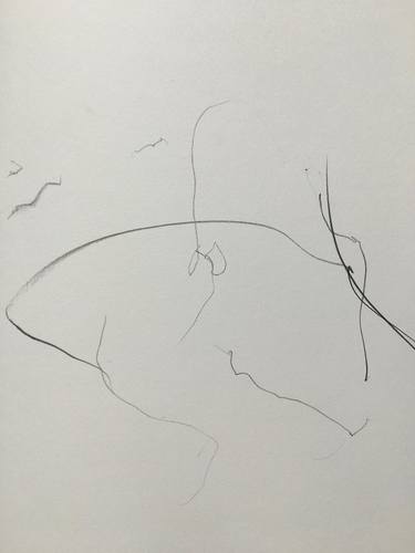 Original Expressionism Abstract Drawings by Nicholas Lands