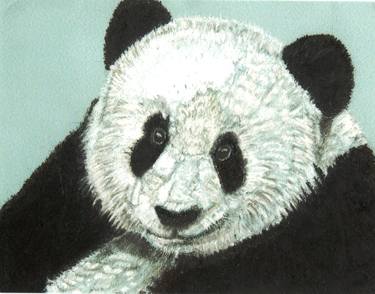 Chi Chi the Giant Panda Limited Edition Print 1 of 50 thumb
