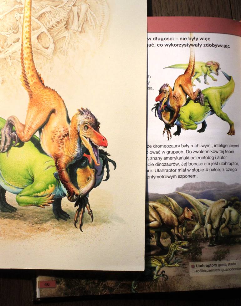 Original Illustration Animal Painting by Artur Lobus