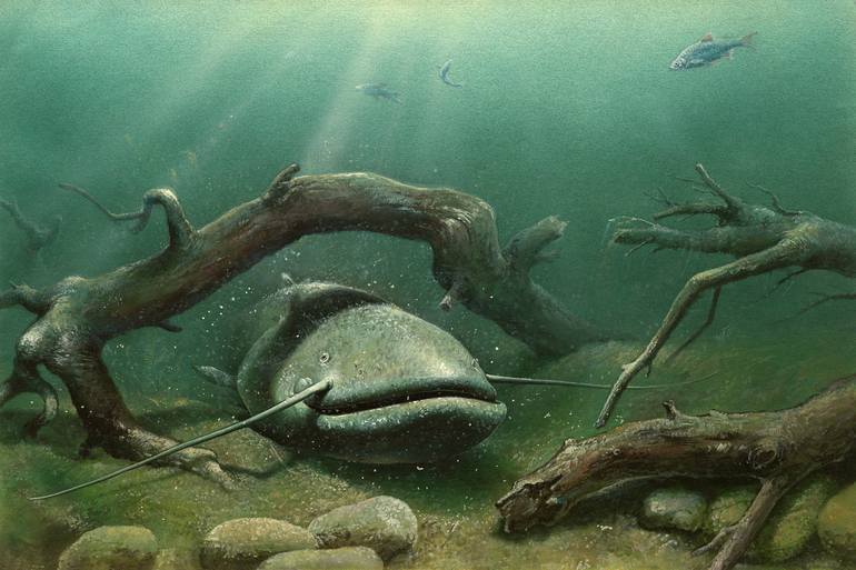 Wels catfish Painting by Artur Lobus