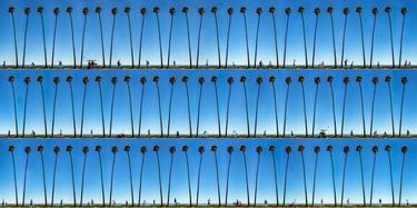 Time Lapse. Waterfront, Santa Barbara, California - Aluminum thumb