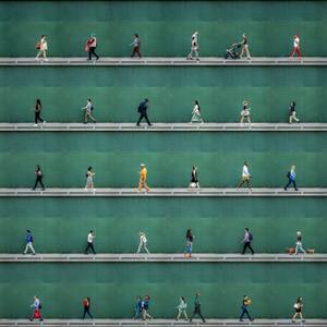 Collection Art Under $1,000