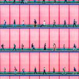 Collection Pops of Color