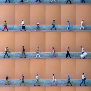 Wander Through the Canvas