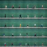 Collection 50 Works, 50 Countries