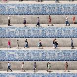 Collection Photography for $500 & Under