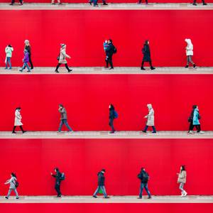 Collection Shop by Color: Scarlet