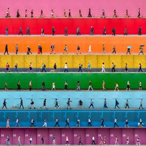 Collection Collector Favorites: Best Selling Photographers