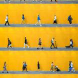 Collection NATIVE NEW YORKER