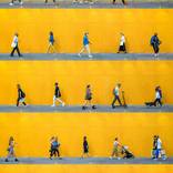 Collection Ryan Stanier Curates