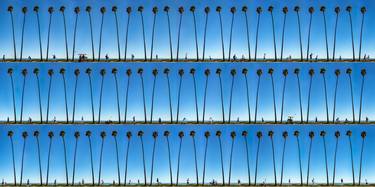 Time Lapse. Waterfront, Santa Barbara, California - Limited Edition of 25 thumb