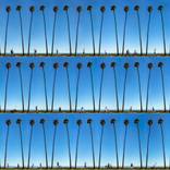 Holding on to Summer thumb