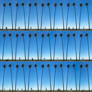 Collection Holding on to Summer