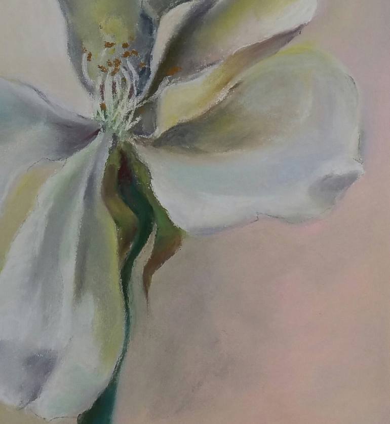 Original Other Floral Drawing by Helena Min