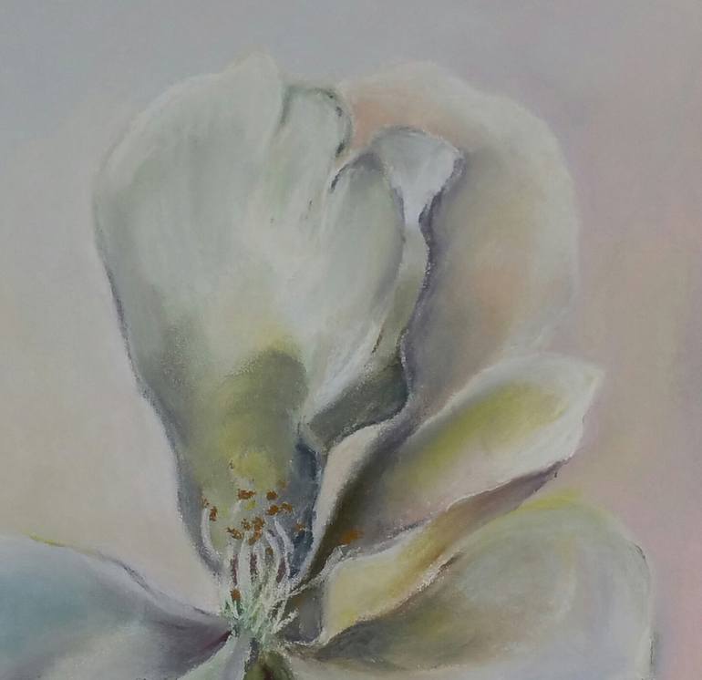 Original Other Floral Drawing by Helena Min